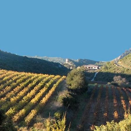 Gite Dans Ancienne Bergerie En Pleine Garrigue Fraissé-des-Corbières Εξωτερικό φωτογραφία