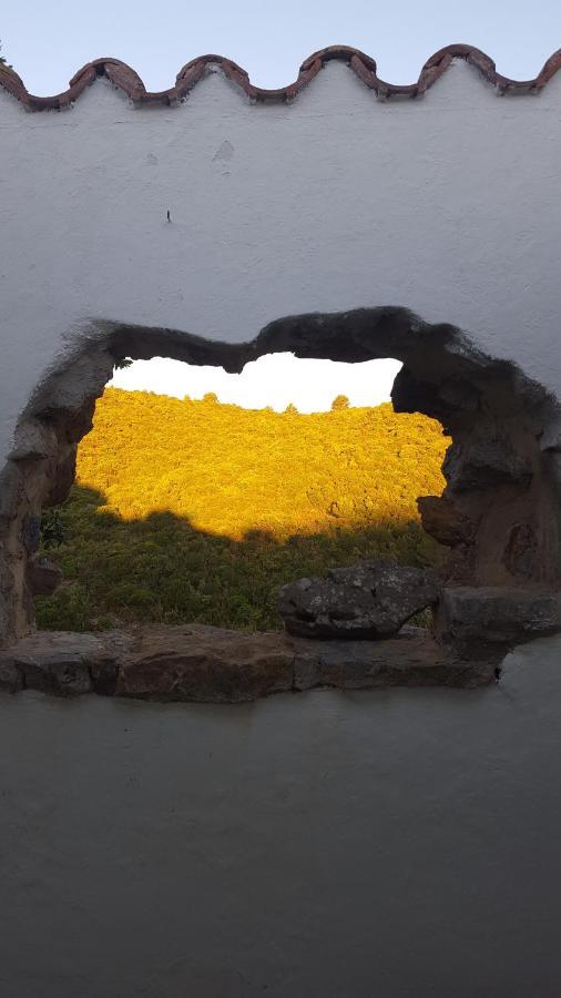 Gite Dans Ancienne Bergerie En Pleine Garrigue Fraissé-des-Corbières Εξωτερικό φωτογραφία