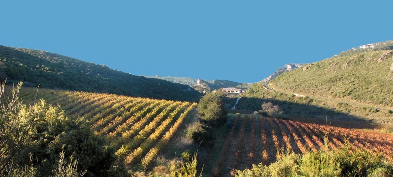 Gite Dans Ancienne Bergerie En Pleine Garrigue Fraissé-des-Corbières Εξωτερικό φωτογραφία