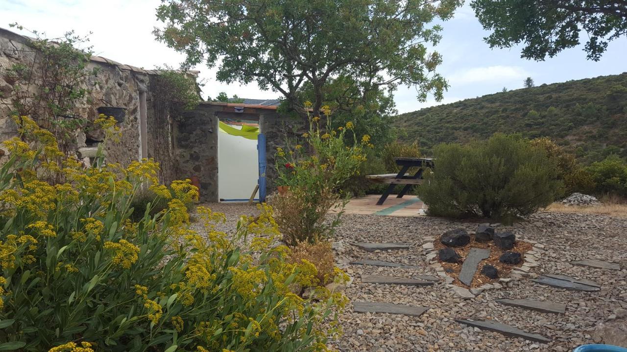Gite Dans Ancienne Bergerie En Pleine Garrigue Fraissé-des-Corbières Εξωτερικό φωτογραφία
