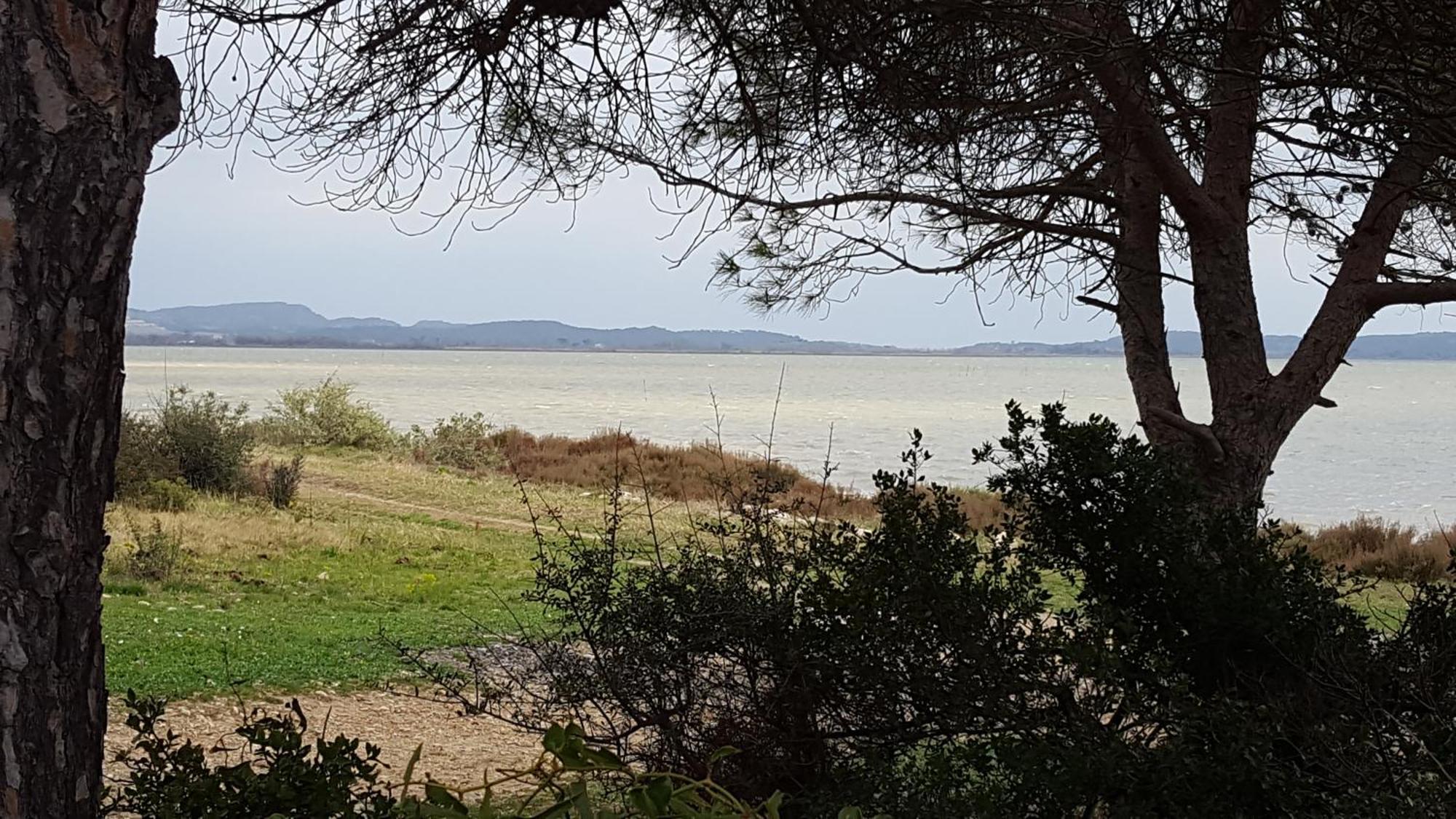 Gite Dans Ancienne Bergerie En Pleine Garrigue Fraissé-des-Corbières Εξωτερικό φωτογραφία