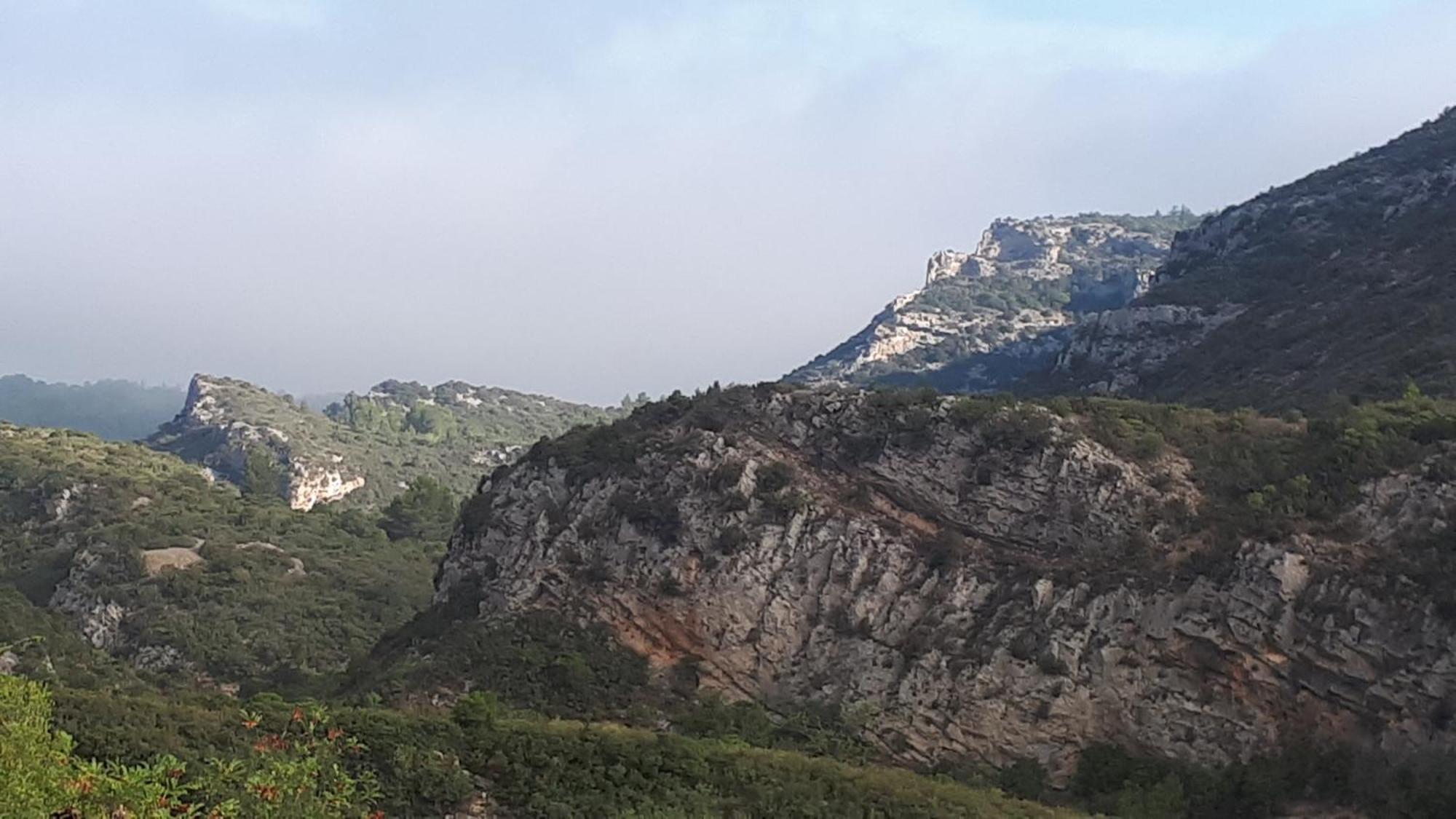 Gite Dans Ancienne Bergerie En Pleine Garrigue Fraissé-des-Corbières Εξωτερικό φωτογραφία