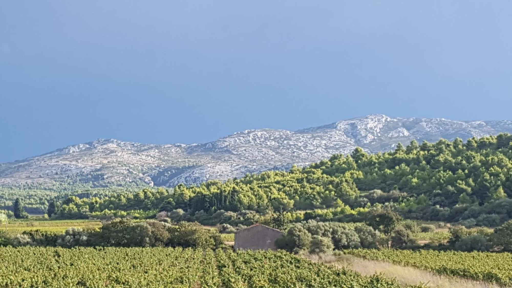 Gite Dans Ancienne Bergerie En Pleine Garrigue Fraissé-des-Corbières Εξωτερικό φωτογραφία
